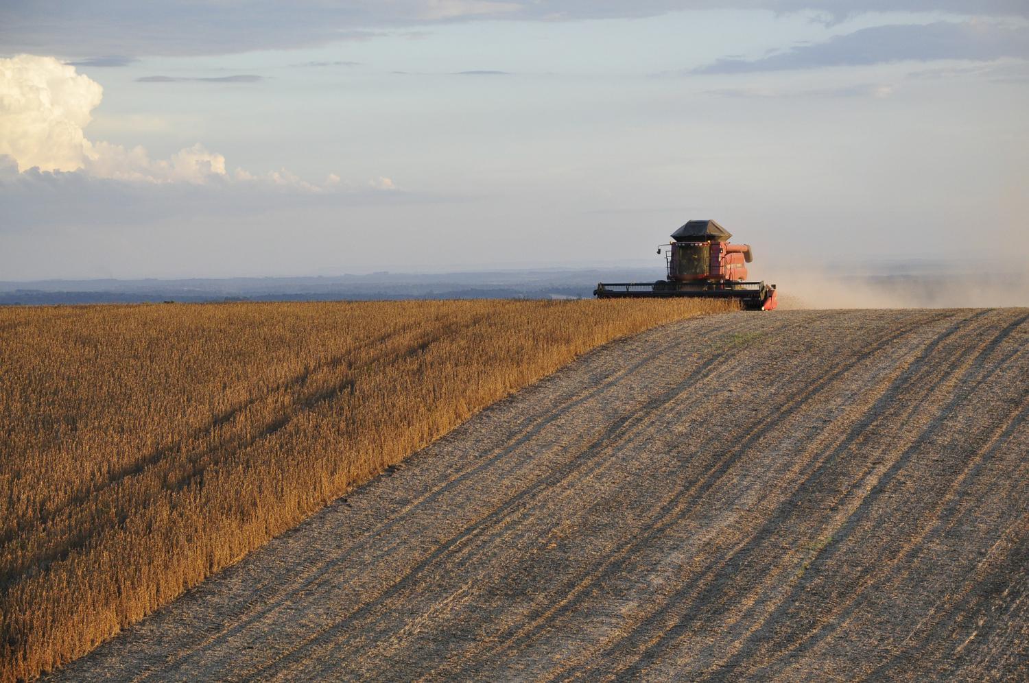 Estoque de produtos agrícolas tem queda de 17% no primeiro semestre